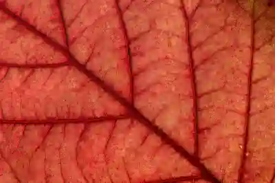 챗GPT 유료와 무료 사용 시 정확도 차이 알아보자