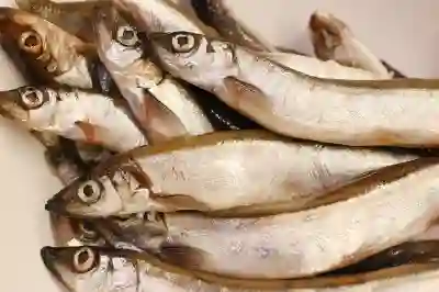 휴대폰 클립보드 확인하는 꿀팁 알아보자