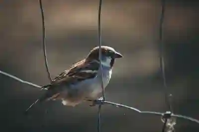 전국 거주자 우선주차 통합 신청 방법과 필수 팁