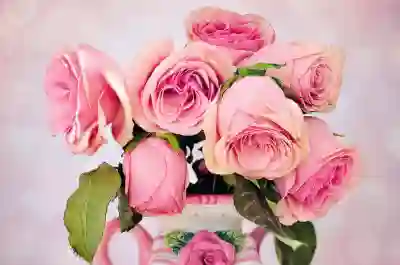 농촌사랑상품권 사용처와 구매 방법 총정리!
