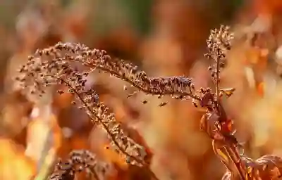 키움증권 배당금 알림을 카톡으로 설정하는 방법은?