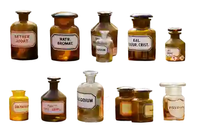 새우, 콜레스테롤 건강에 좋은 이유와 건강하게 먹는 법