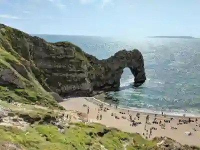 충북 충주시 임플란트 지르코니아 가격 비교: 최저가 치과 Top 5!