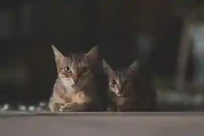 소액생계비대출 조건과 신청 방법은?