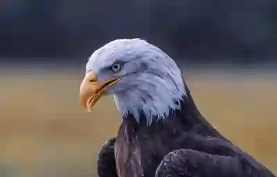 전기요금 고지서 조회 및 재발급 방법 총정리!
