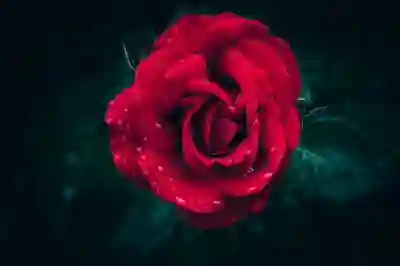 명조 리세마라 방법 가이드: 최고의 시작을 위한 팁과 전략!