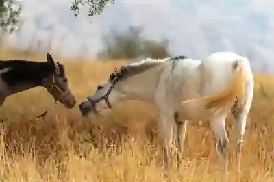 케이뱅크 이체확인증 발급 방법 2가지 알아보기!