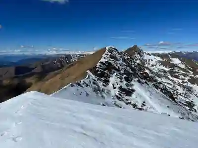 서울 종로구 최고의 건강보험 PFM 임플란트 치과 TOP 5 추천!