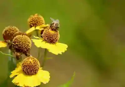 주거복지사 자격증: 절차, 이수과목, 취득 방법 총정리!