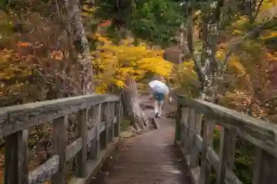 윈도우 11 업데이트 끄기: 쉽고 빠른 설정 가이드!