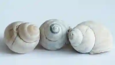 차용증 양식 및 작성법 완벽 가이드!