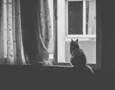 윈도우 11 홈에서 로컬 그룹 정책 편집기 실행하는 5가지 방법