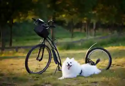 여신거래 안심차단 서비스 신청 방법은?