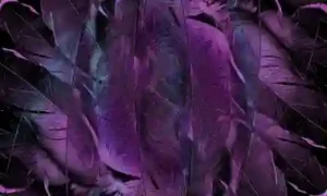 다음 카페 탈퇴하는 방법 알아보자