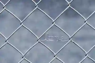 대전광역시 임플란트 지르코니아 최저가 치과 5곳 알아보자