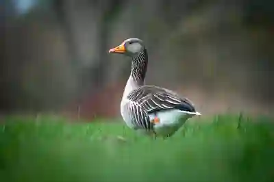 부산 북구 PF 임플란트 가격 비교와 추천 치과 5곳 알아보자