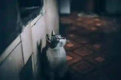 신혼부부를 위한 출산가구 주거혜택 살펴보기