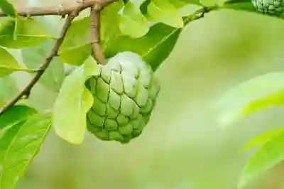 애플 프라이스 매치로 할인받는 꿀팁 5가지 알아보자