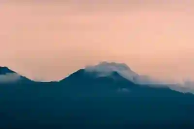 비대면 주민등록 사실조사 참여하기 위한 5가지 방법