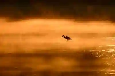 주민등록등본 인터넷 발급 후 PDF 저장 및 출력 방법 알아보자