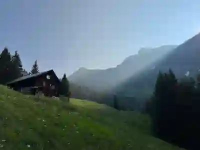 충남 아산시 임플란트 지르코니아 가격 저렴한 치과 추천