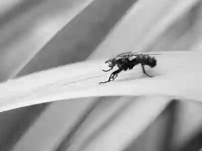 티몬 구매 영수증 조회와 캡처하는 꿀팁 알아보자