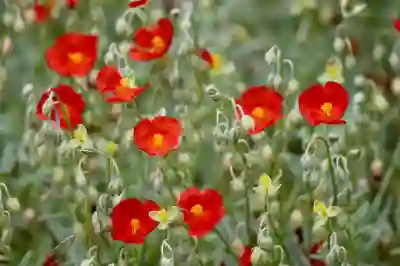 문경 문경점촌요양병원 예약과 진료시간 알아보자