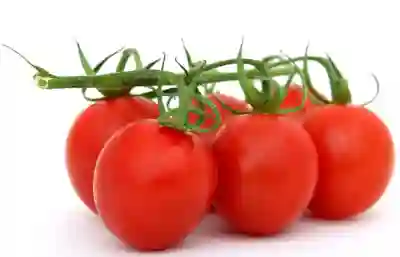 청년수당 신청 대상과 효과적인 사용처 알아보기