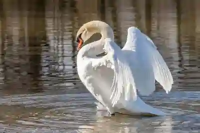 알뜰폰 요금제 비교하는 꿀팁과 후기 살펴보기