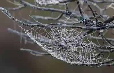 해외금융계좌 신고 의무자 알아보자 및 과태료 정보 살펴보기