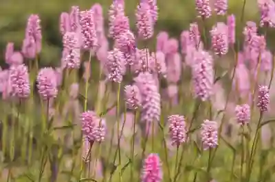 갤럭시 모바일 게임 최적화 설정 꿀팁 알아보자