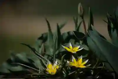 경찰서 직원의 800만원 횡령 사건과 그 파장 살펴보기