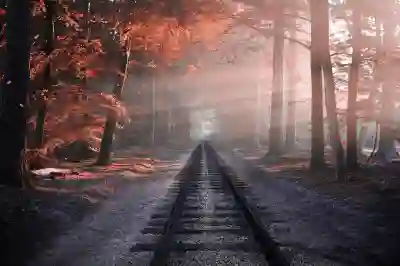 국군수도치과병원 임플란트와 뼈 이식 비용 및 예약 방법 알아보자