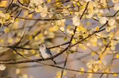 네이버 캡처 프로그램 다운로드 및 설치 방법 알아보자