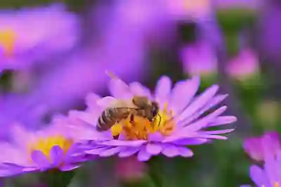 전자세금계산서 의무발행 확대에 대한 필수 정보 알아보자