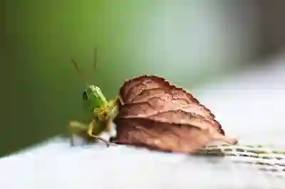 천안연세우일치과병원 임플란트와 보험 관련 정보 알아보자