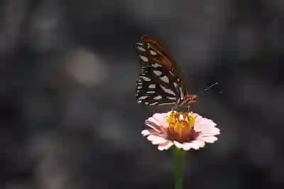 카카오 메일 확인하는 꿀팁과 티스토리 폐쇄 후 카카오톡 연동 살펴보기
