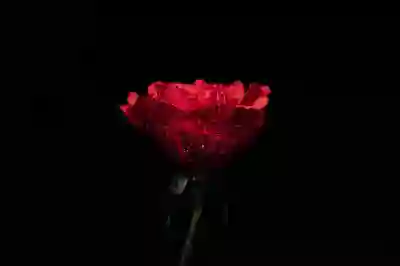 포항하나요양병원 예약과 진료정보 완벽히 알아보자