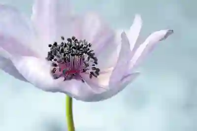 혼인신고서 작성 꿀팁 알아보자