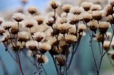 강원원주문막요양병원 예약 앱과 홈페이지 활용법 알아보기 강원원주문막요양병원 예약 앱과 홈페이지 활용법 알아보기