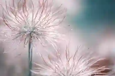 경산라온치과병원 임플란트와 크라운 비용 알아보는 방법