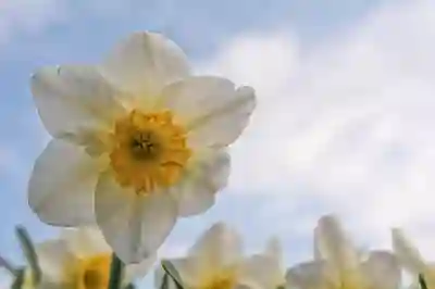 광주서구광주힐병원 예약 및 진료시간 완벽 알아보기 광주서구광주힐병원 예약 및 진료시간 완벽 알아보기