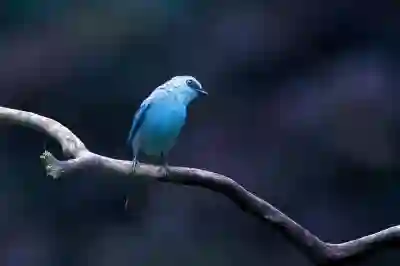 뉴욕 치과 치료 비용과 예약 방법 알아보자