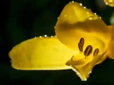 부산고려병원 예약 방법과 진료 시간 알아보기