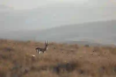 부산동래 좋은애인요양병원 진료시간과 예약 방법 알아보자