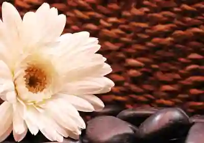 부안군 노인 요양병원 예약과 진료 시간 알아보기