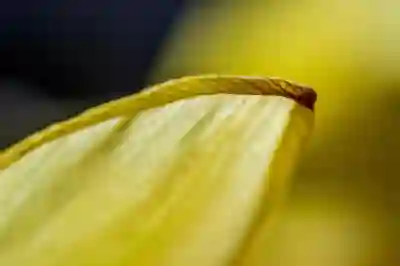 중랑구 늘찬병원 예약 및 진료시간 알아보기