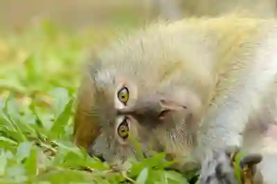 안양평촌중앙병원 예약 시스템 알아보자