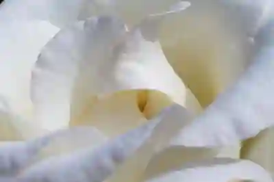 인천부평 찬솔한방병원 예약과 진료시간 알아보기