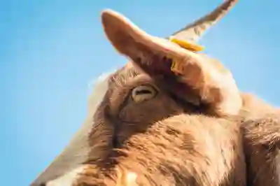 전주유로병원 예약과 진료 정보 알아보자